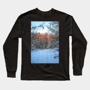 Winter landscape - frosty trees in snowy forest in the sunny morning. Tranquil winter nature in sunlight Long Sleeve T-Shirt